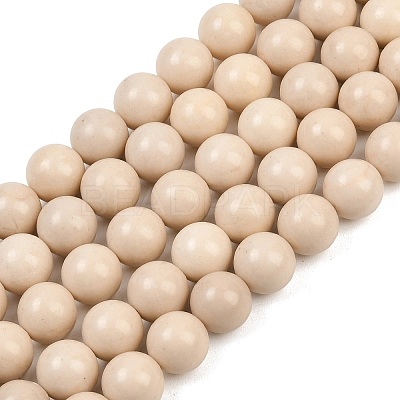 Natural Fossil Beads Strands G-E110-14mm-2-1