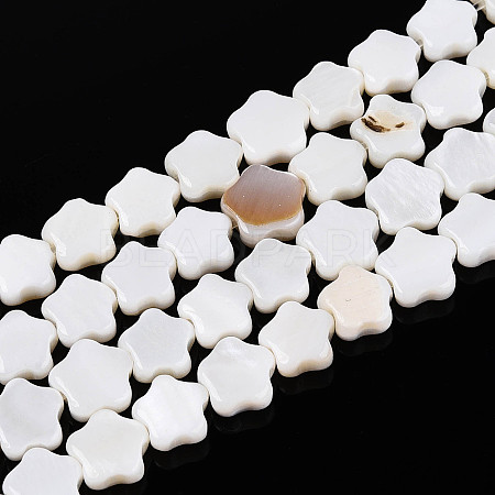 Natural Freshwater Shell Beads Strands SHEL-N027-02-01-1