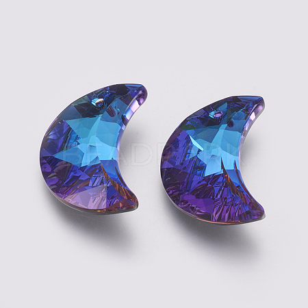 K9 Glass Rhinestone Pendants GLAA-K034-G04-1
