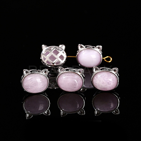 Natural Kunzite Beads PW-WG2C262-06-1