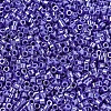 MIYUKI Delica Beads SEED-X0054-DB1569-3