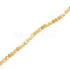 Natural Shell Beads Strands BSHE-WH0007-10-2