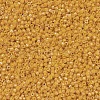 MIYUKI Delica Beads SEED-MY11-DB0651-3
