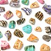 125G 5 Colors Natural Shell Bead Strands BSHE-FS0001-06A-2