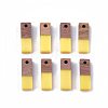 Resin & Wood Pendants RESI-S358-19-M-2