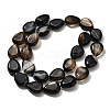 Natural Black Agate(Dyed & Heated) Beads Strands G-P561-B13-01-3