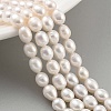 Natural Cultured Freshwater Pearl Beads Strands PEAR-P062-09C-1