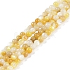 Natural Trochus Shell Beads Strands BSHE-H109-12B-1