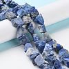 Raw Rough Natural Lapis Lazuli Beads Strands G-B065-C03-2