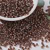 MIYUKI Round Rocailles Beads SEED-G008-RR4505-1