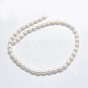Natural Cultured Freshwater Pearl Beads Strands PEAR-F007-73-2