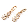 Rack Plating Golden Brass Dangle Leverback Earrings EJEW-B037-19G-1