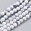 Natural Howlite Beads Strands TURQ-G091-4mm-1