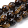 Natural Tiger Eye Beads Strands G-S259-21-10mm-1