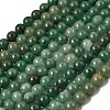 Natural Green Aventurine Beads Strands G-Q462-12mm-20-2