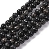 Dyed Natural Regalite/Imperial Jasper/Sea Sediment Jasper Beads Strands G-B124-C02-05-1