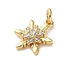 Brass Micro Pave Cubic Zirconia Pendants KK-I383-05G-06-2
