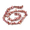 Natural Freshwater Shell Beads Strands BSHE-H018-07-3