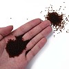 15/0 Transparent Czech Glass Seed Beads SEED-N004-004-21-5