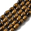 Natural Tiger Eye Beads Strands G-A275-A01-8x12mm-AB-2
