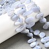 Natural Blue Lace Agate Spike Slice Beads Strands G-NH0046-B01-01-1