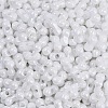Baking Paint Glass Seed Beads X1-SEED-K010-A03-2