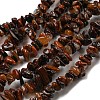 Natural Red Pietersite Beads Strands G-G905-16-1