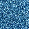 MIYUKI Delica Beads SEED-JP0008-DB1709-3