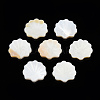 Natural Freshwater Shell Beads SHEL-T007-02-3