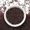Indigo 11/0 Round Transparent Glass Seed Beads X-SEED-Q007-F57-5