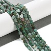 Natural Chrysocolla Beads Strands G-M403-A27-01-2