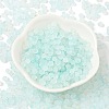 Frosted Glass Beads FGLA-D300-01B-2
