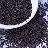MIYUKI Round Rocailles Beads X-SEED-G007-RR0454-1