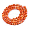 Natural Freshwater Shell Beads Strands SHEL-N003-24-B06-2