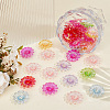 100Pcs Transparent Acrylic Beads TACR-PA0001-22-4