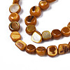 Natural Trochid Shell/Trochus Shell Beads Strands SHEL-S258-083-B09-3