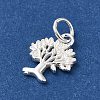 925 Sterling Silver Charms STER-NH0001-34S-2