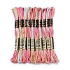 10 Skeins 6-Ply Polyester Embroidery Floss OCOR-K006-A75-1