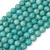 Natural Amazonite Beads Strands G-G453-A02-10mm-2