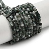 Natural Moss Agate Beads Strands G-C228-A01-2x3mm-2