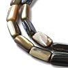 Natural Paua Shell Beads Strands SSHEL-B002-14-3