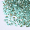 2-Hole Transparent Glass Seed Beads SEED-S023-30B-21-1