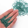 Glass Bugle Beads SEED-S032-08A-51A-5