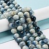 Natural Blue Ice Glacierite Stone Beads Strands G-G078-A01-03-2