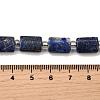Natural Lapis Lazuli Beads Strands G-Z087-C01-5