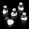 5Pcs Miniature Glass Vase Bottles with Polyester Cord AJEW-TAC00059-3