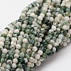 Natural Tree Agate Beads Strands G-N0192-01-2mm-1
