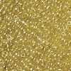 8/0 Glass Seed Beads SEED-US0003-3mm-110-2