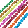 Spray Painted Natural Freshwater Shell Beads Strands SHEL-C003-05-1