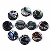 Natural Abalone Shell/Paua Shell Beads SSHEL-T014-14B-1